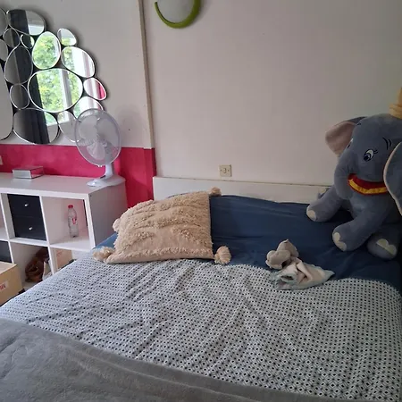 Escale Fleurie Holiday home Toulouse